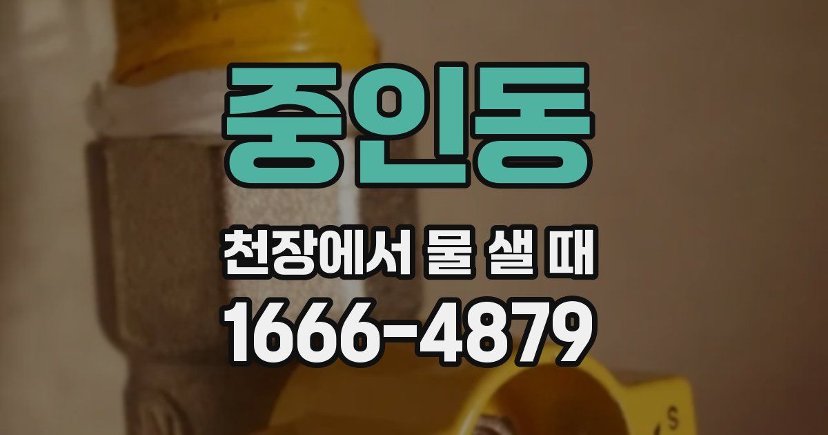중인동 천장에서 물 샐 때