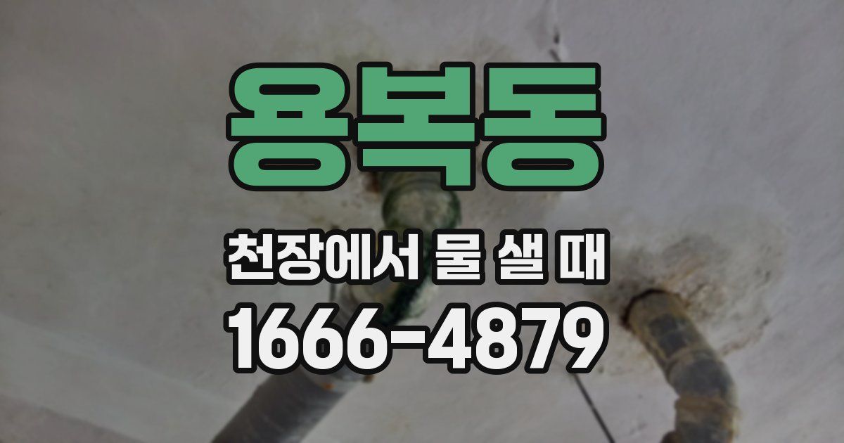 용복동 천장에서 물 샐 때
