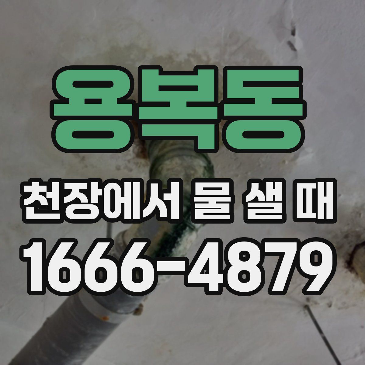 용복동 천장에서 물 샐 때