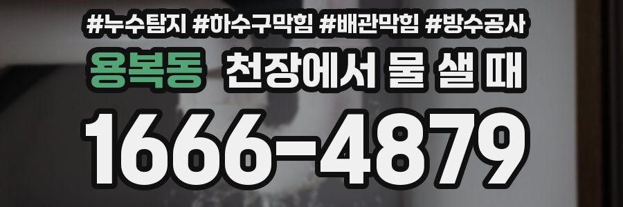 용복동 천장에서 물 샐 때