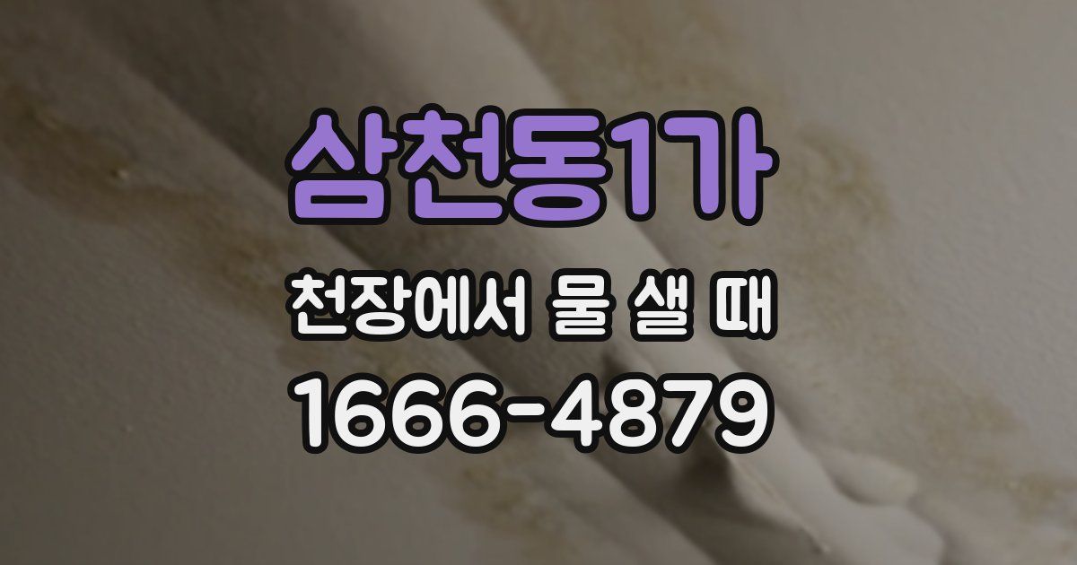 삼천동1가 천장에서 물 샐 때