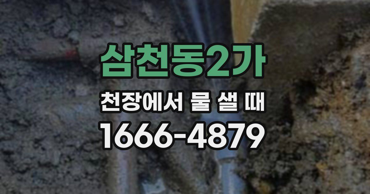 삼천동2가 천장에서 물 샐 때