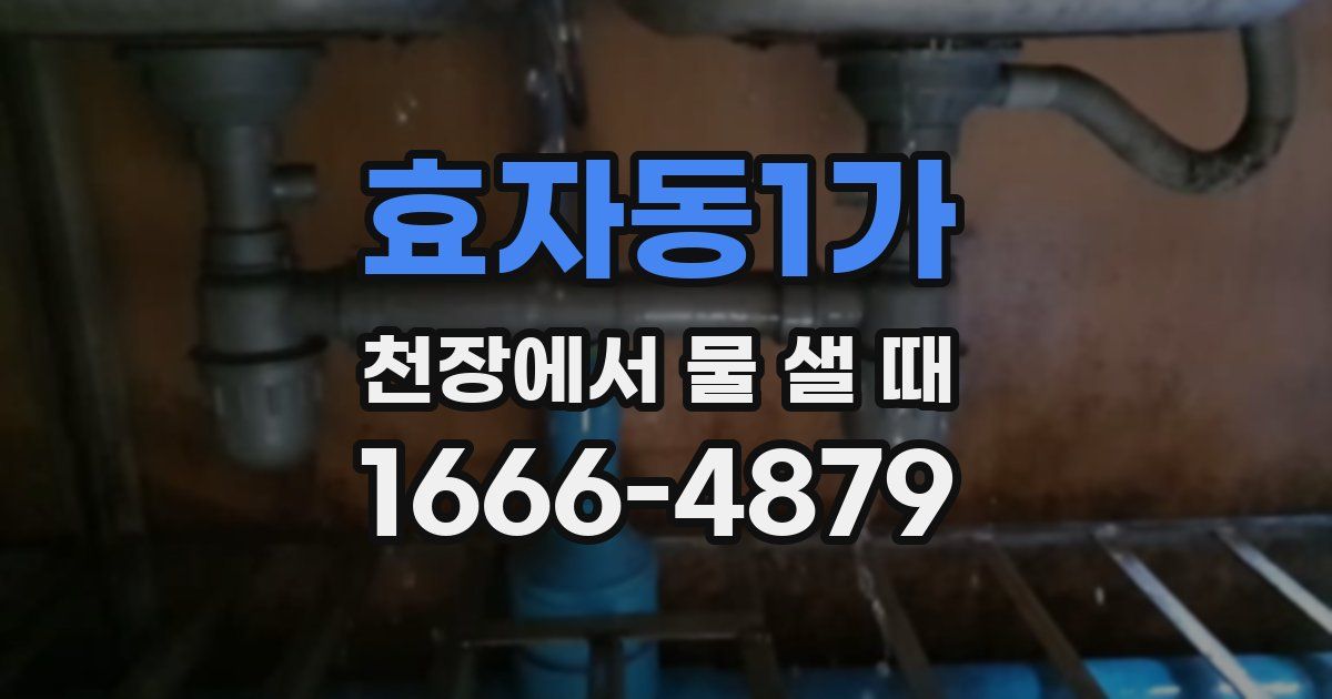 효자동1가 천장에서 물 샐 때