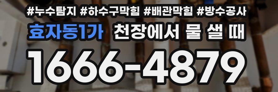 효자동1가 천장에서 물 샐 때