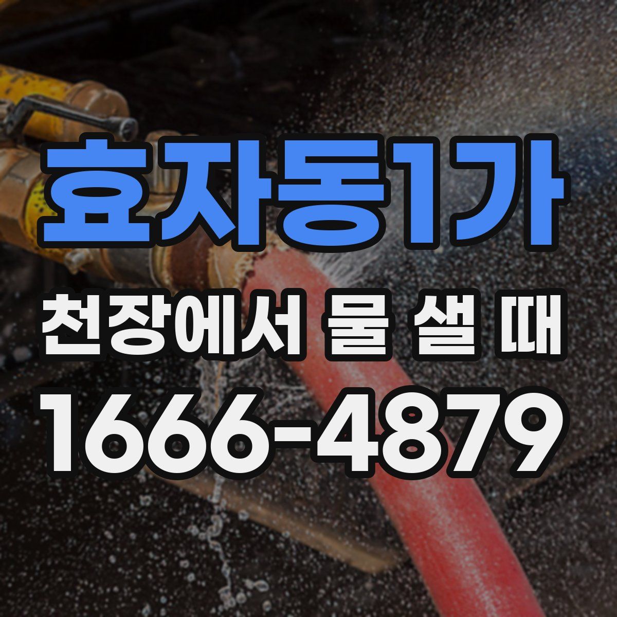 효자동1가 천장에서 물 샐 때