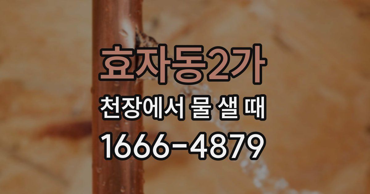 효자동2가 천장에서 물 샐 때