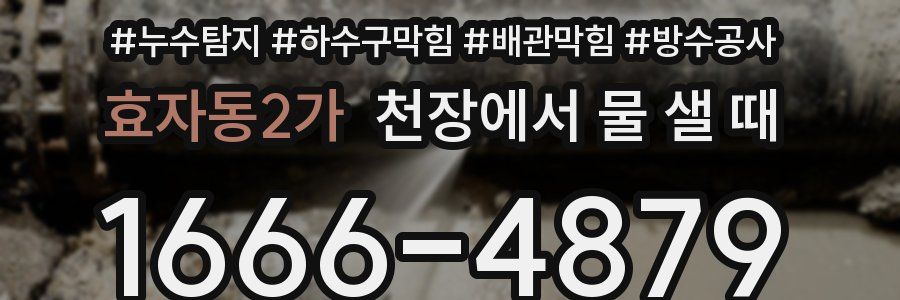효자동2가 천장에서 물 샐 때