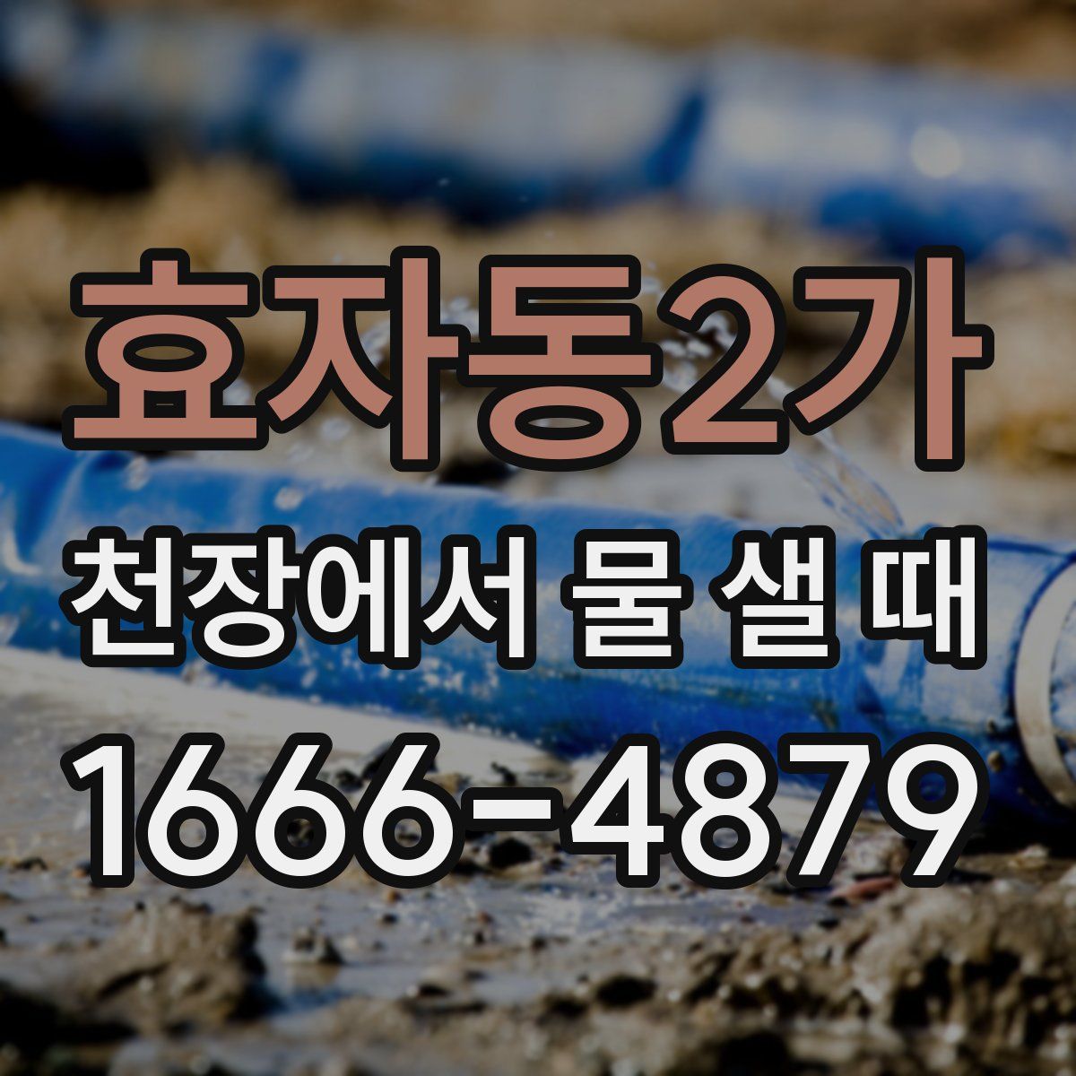 효자동2가 천장에서 물 샐 때