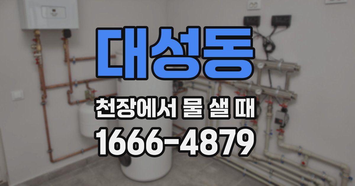 대성동 천장에서 물 샐 때