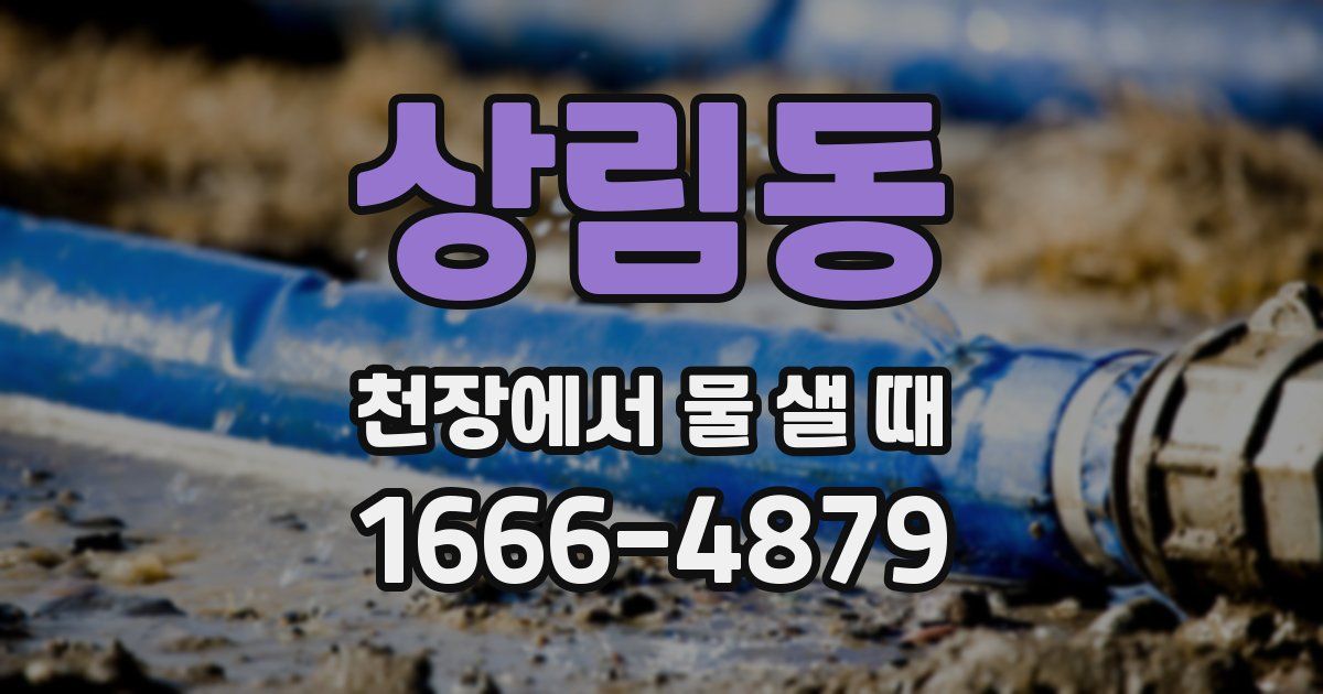 상림동 천장에서 물 샐 때