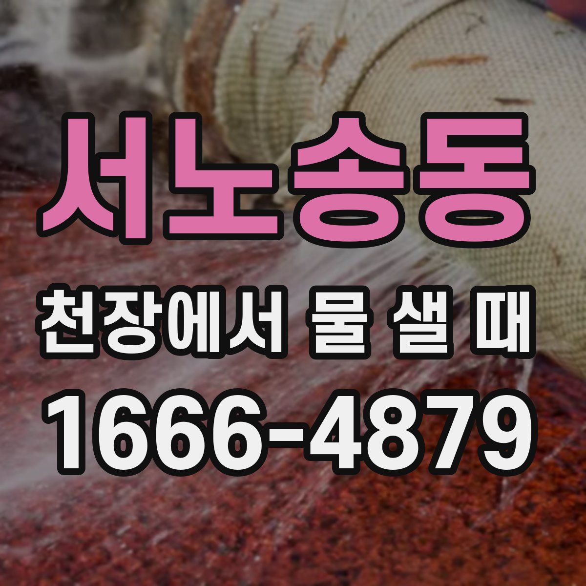 서노송동 천장에서 물 샐 때