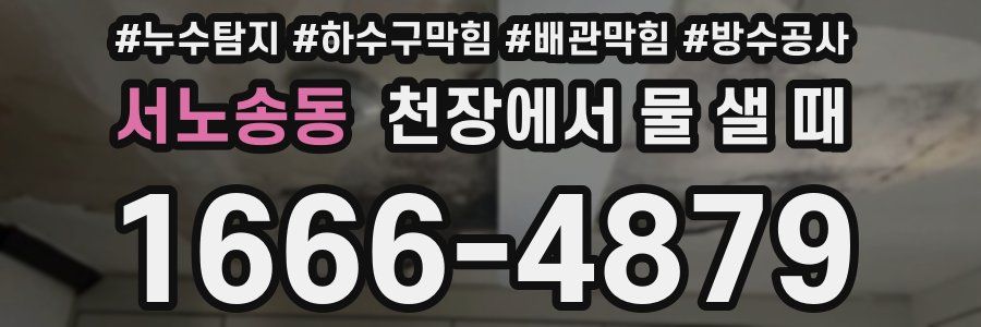 서노송동 천장에서 물 샐 때