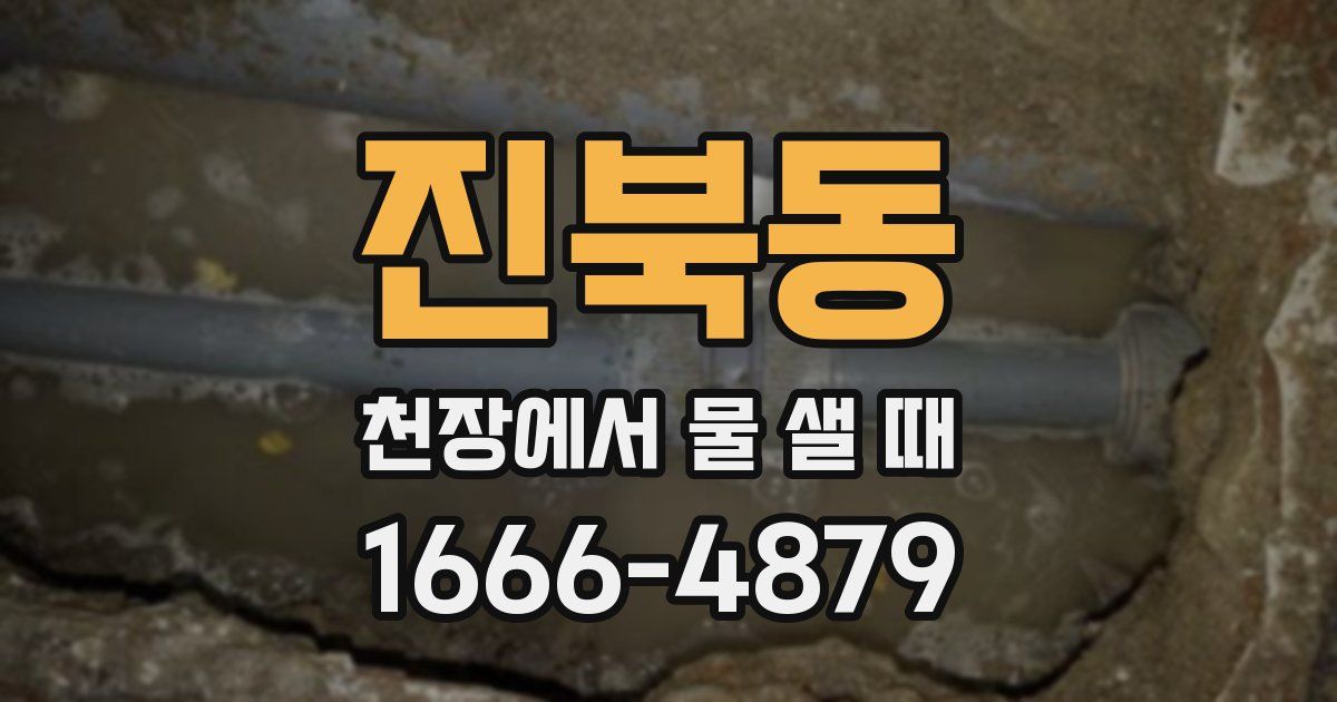 진북동 천장에서 물 샐 때