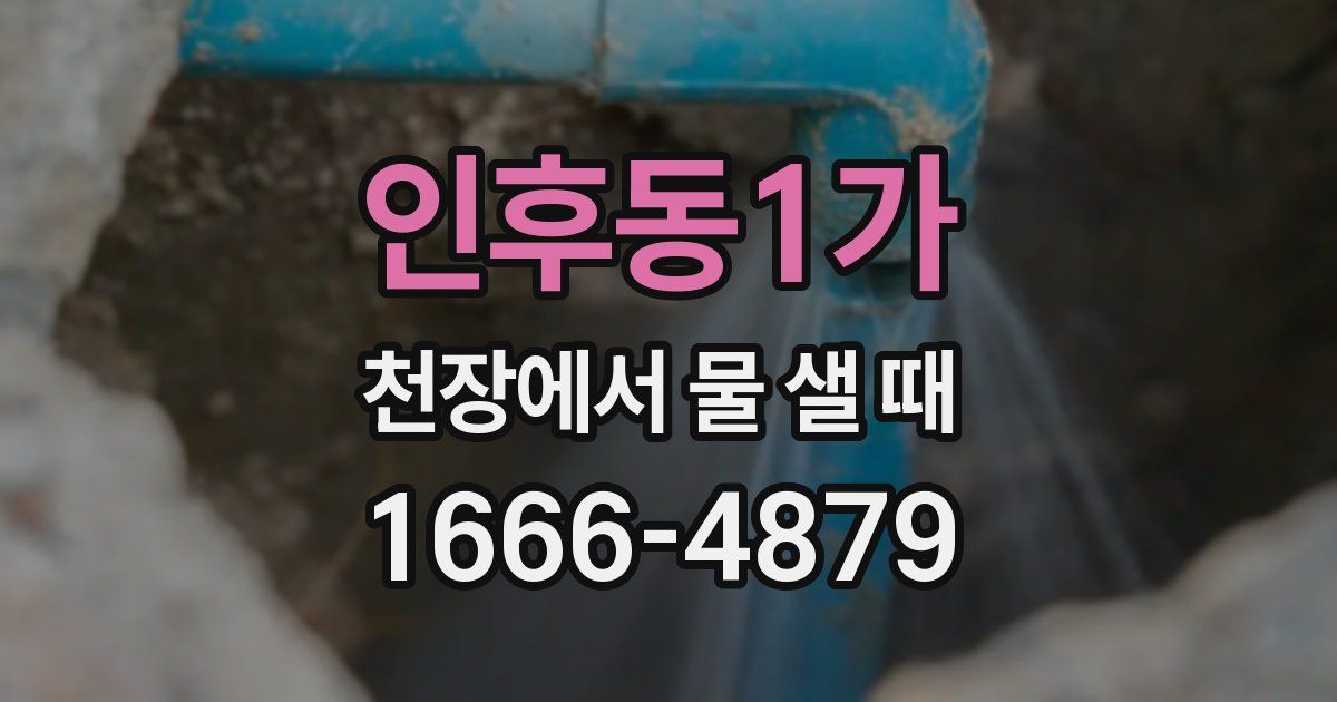 인후동1가 천장에서 물 샐 때