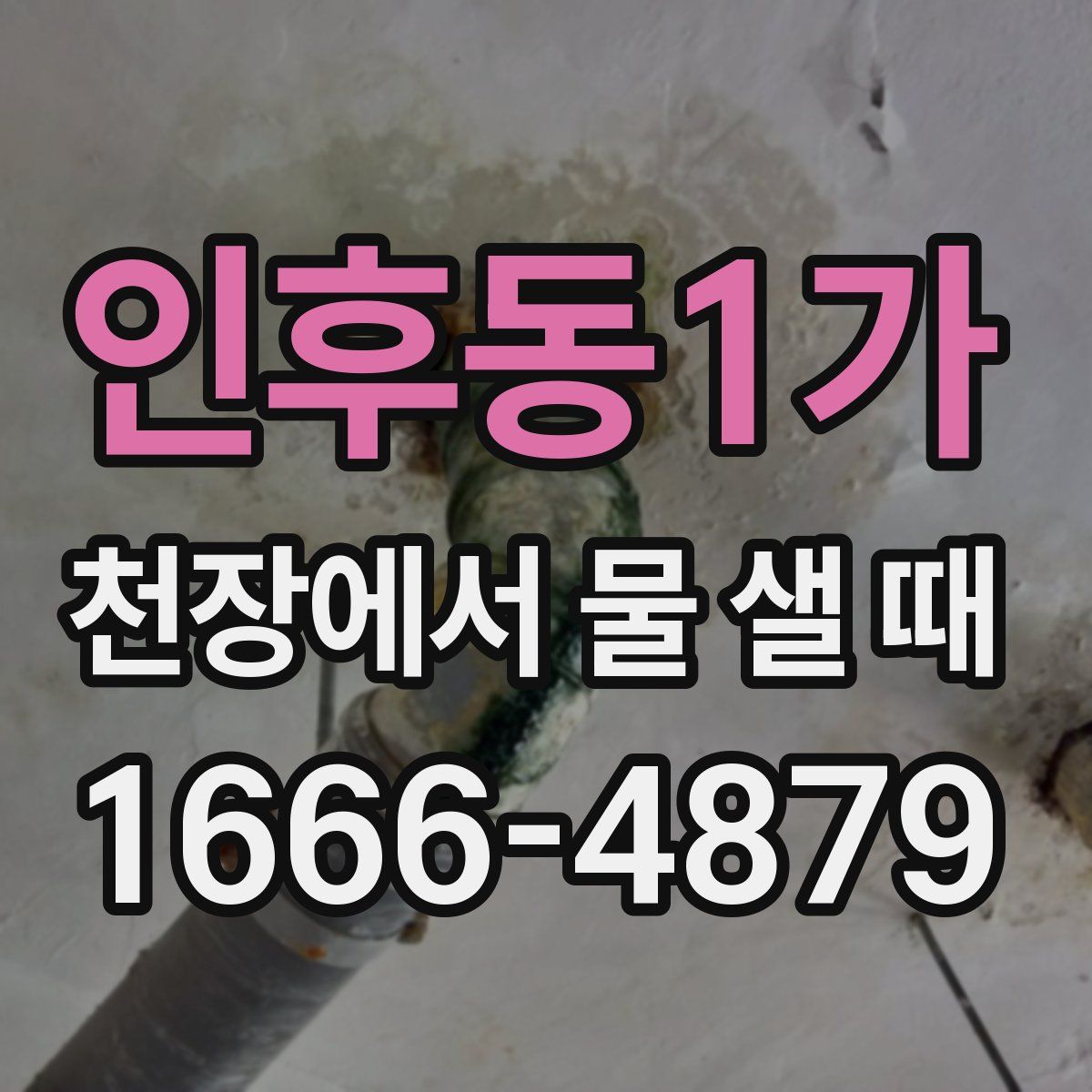 인후동1가 천장에서 물 샐 때