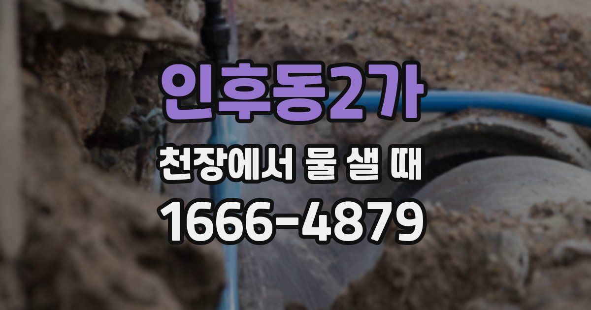 인후동2가 천장에서 물 샐 때