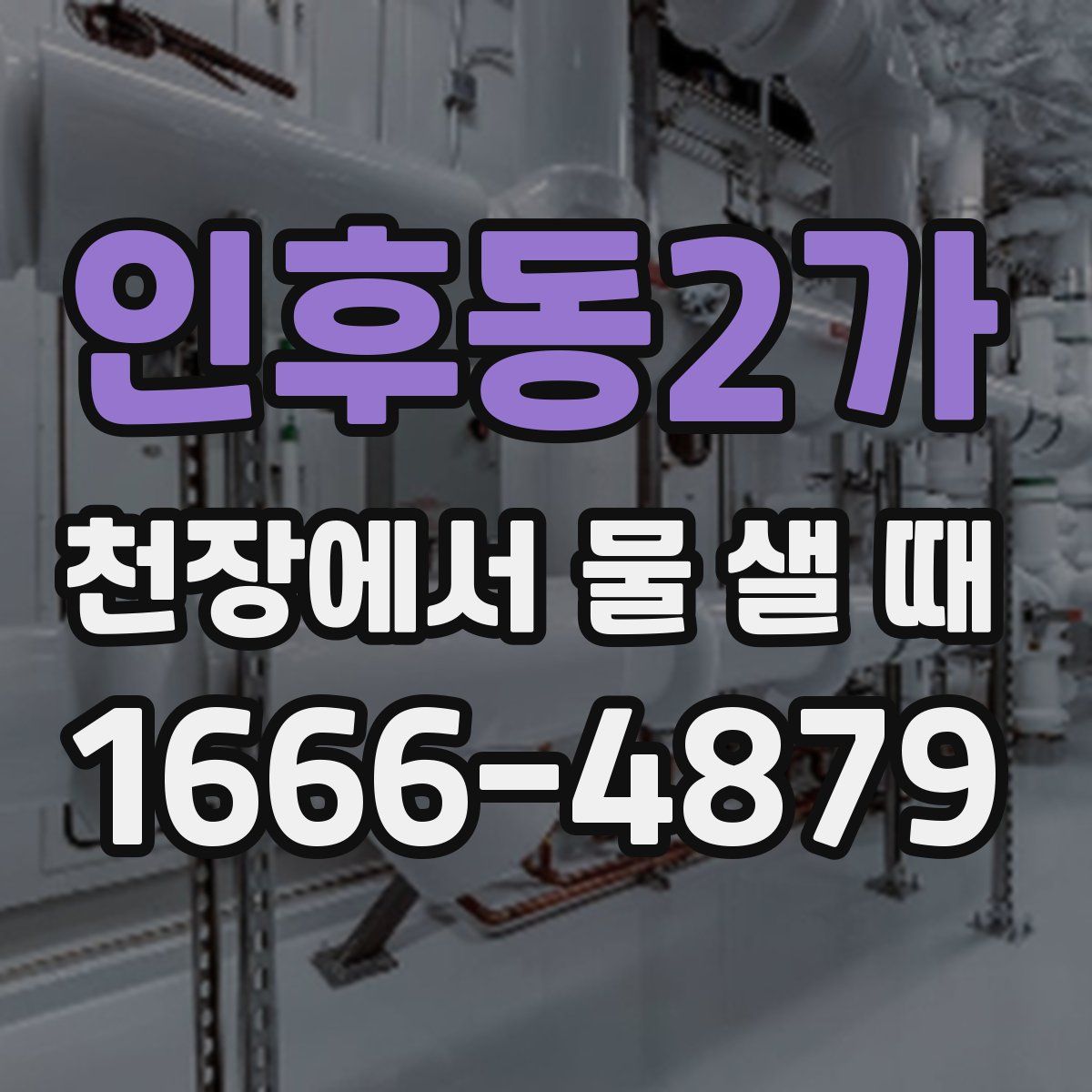 인후동2가 천장에서 물 샐 때