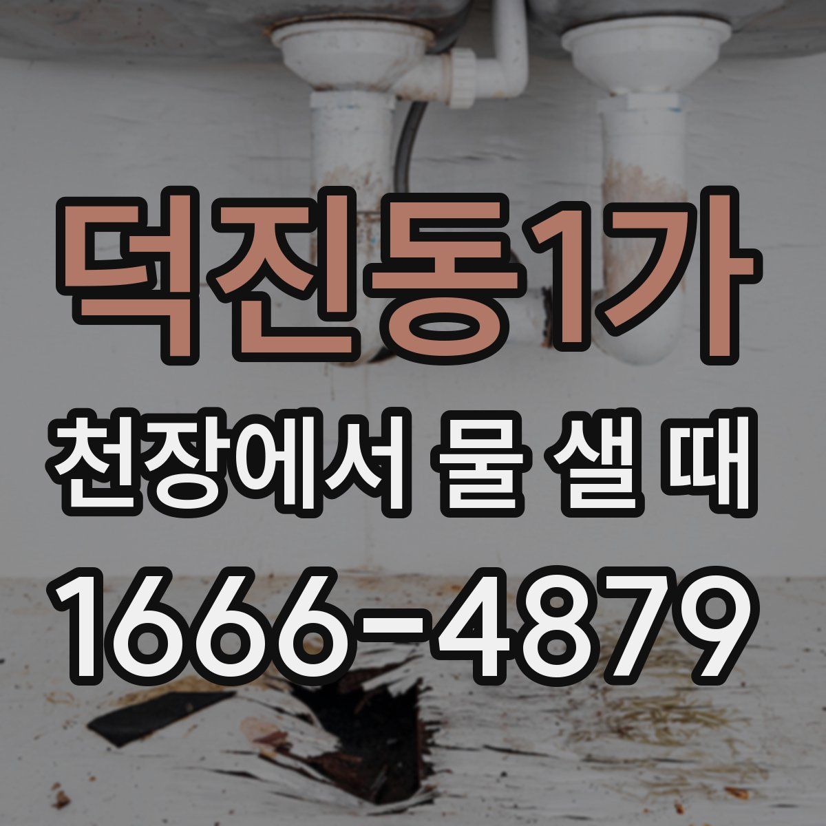덕진동1가 천장에서 물 샐 때