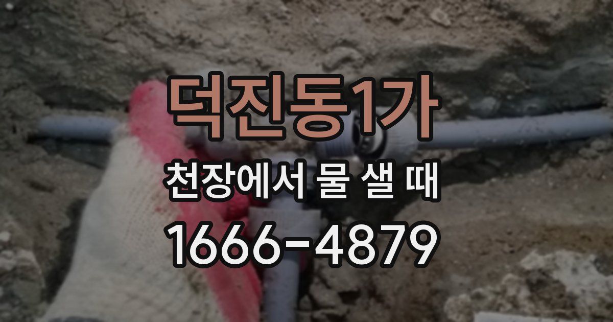 덕진동1가 천장에서 물 샐 때