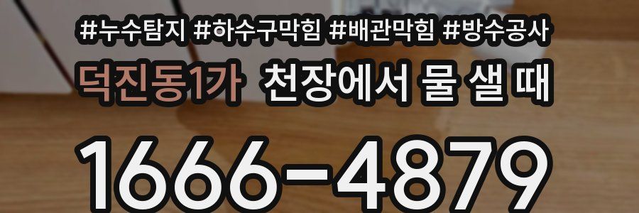 덕진동1가 천장에서 물 샐 때