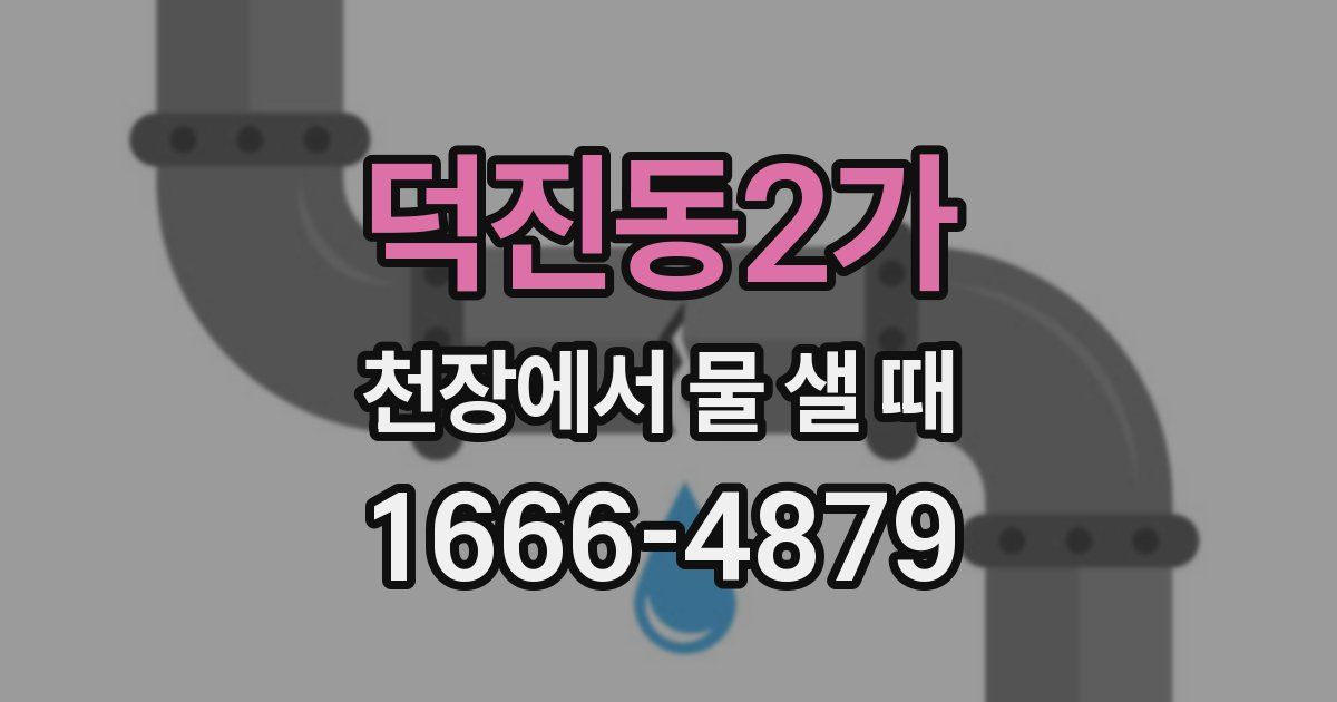 덕진동2가 천장에서 물 샐 때