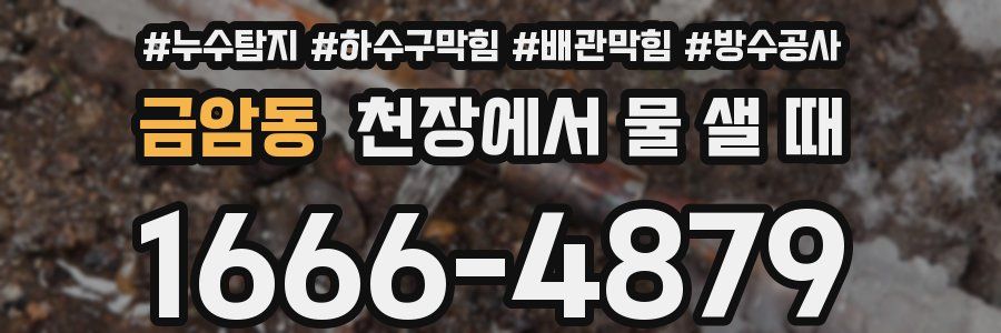 금암동 천장에서 물 샐 때