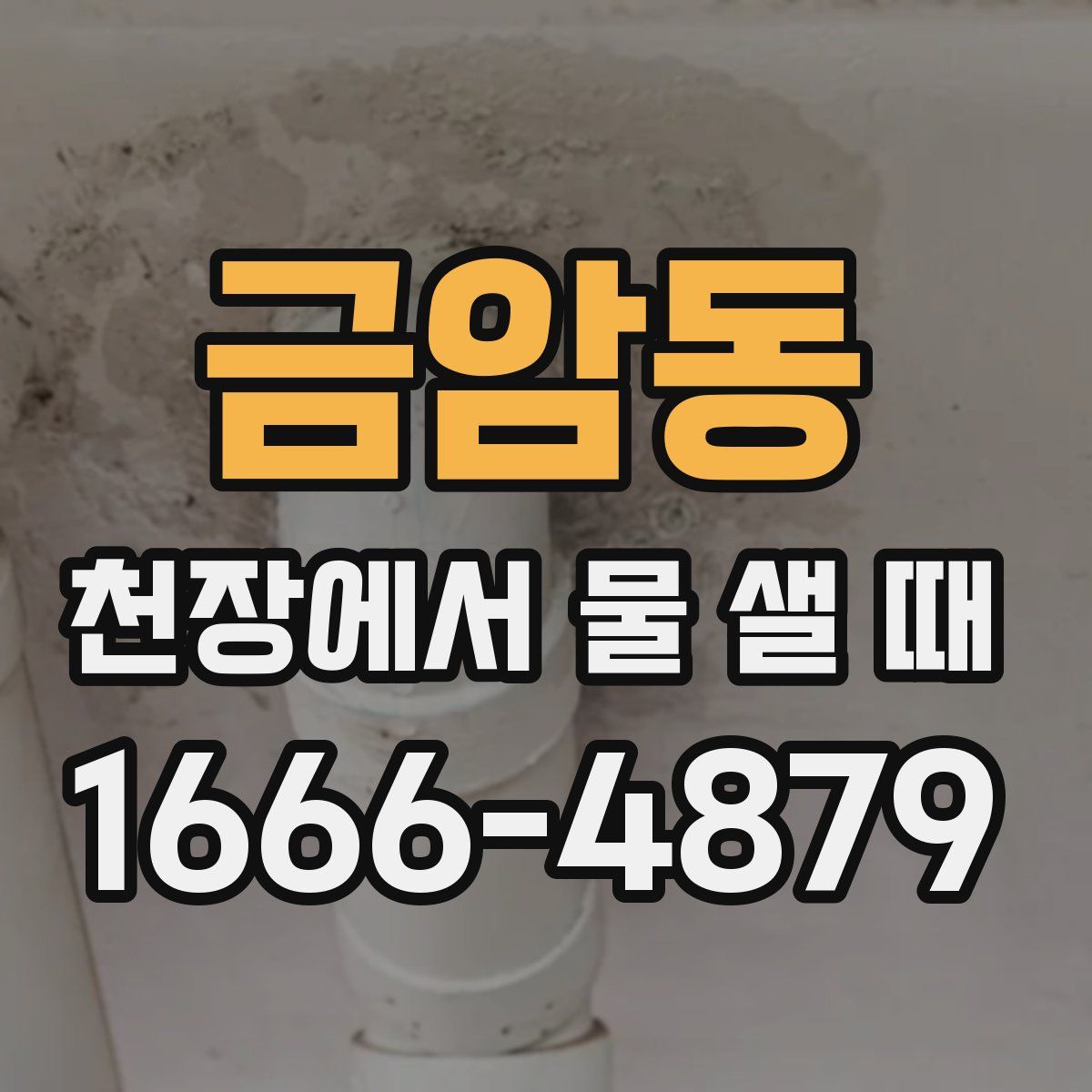 금암동 천장에서 물 샐 때