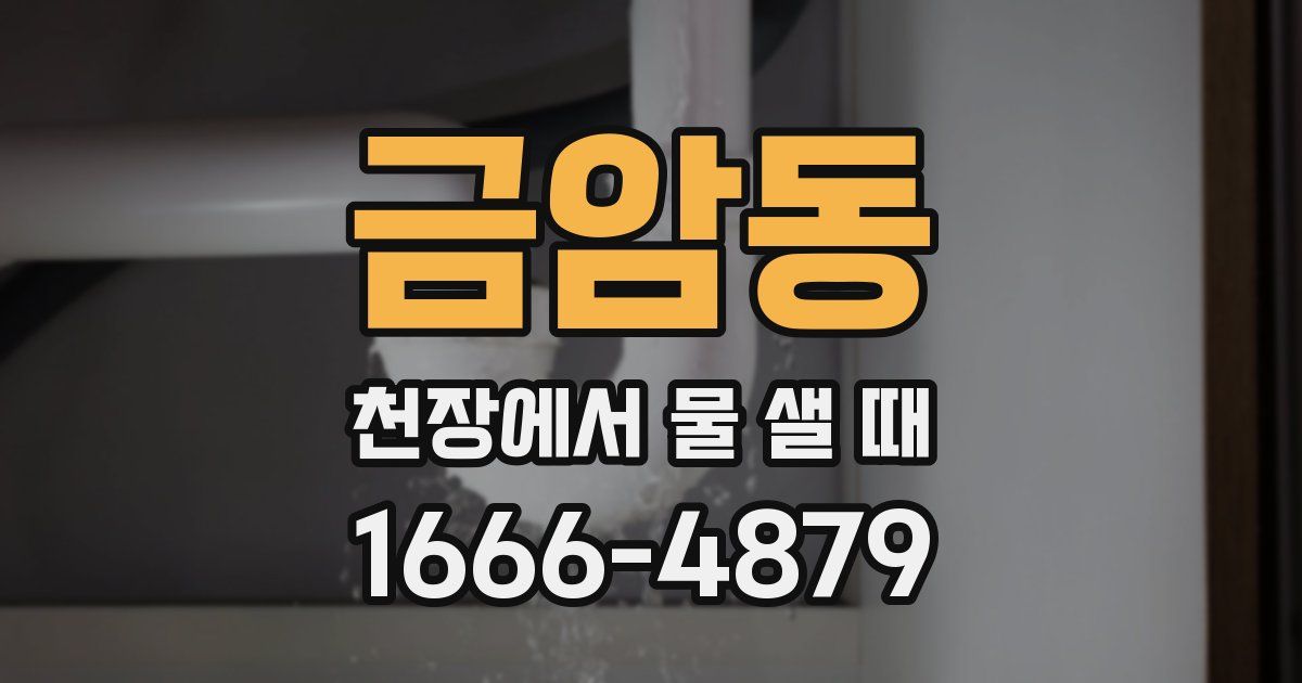 금암동 천장에서 물 샐 때