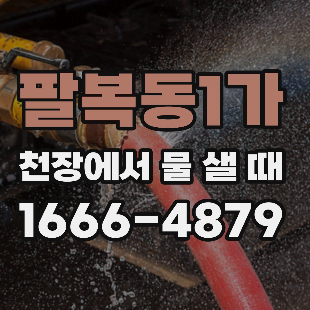 팔복동1가 천장에서 물 샐 때