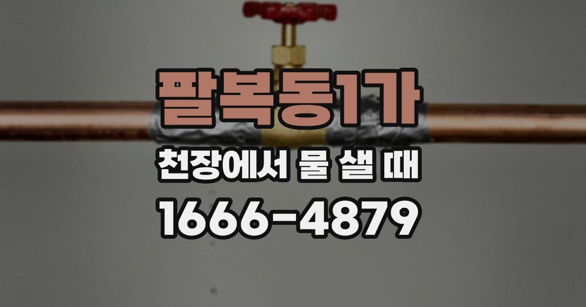 팔복동1가 천장에서 물 샐 때