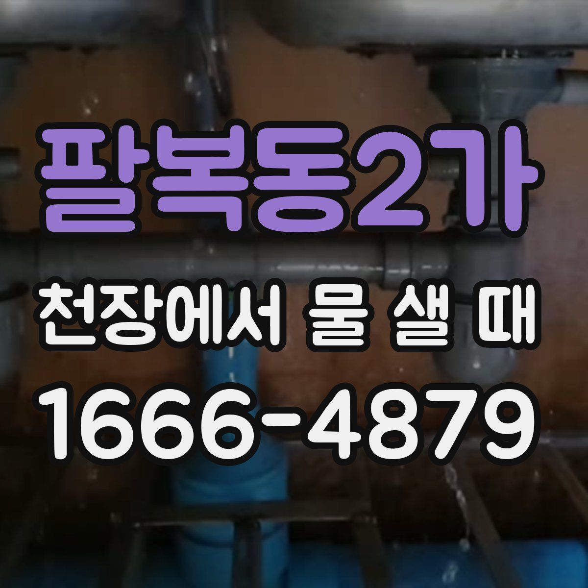 팔복동2가 천장에서 물 샐 때