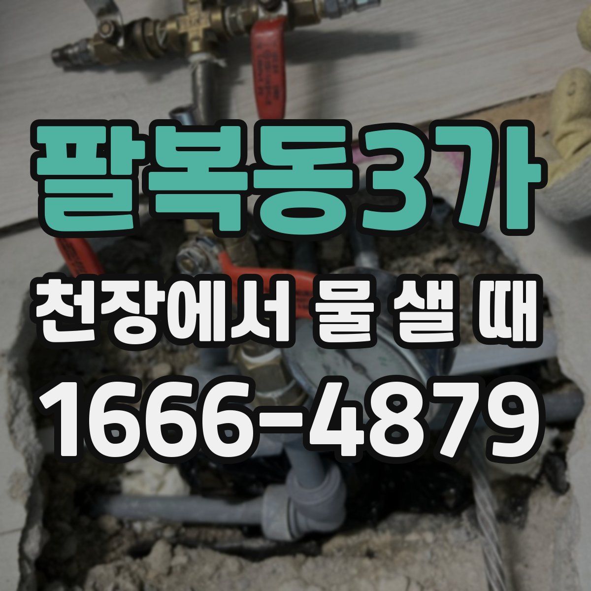 팔복동3가 천장에서 물 샐 때