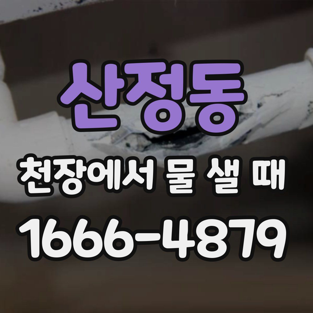 산정동 천장에서 물 샐 때