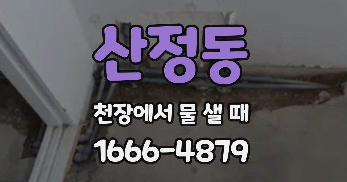 산정동 천장에서 물 샐 때