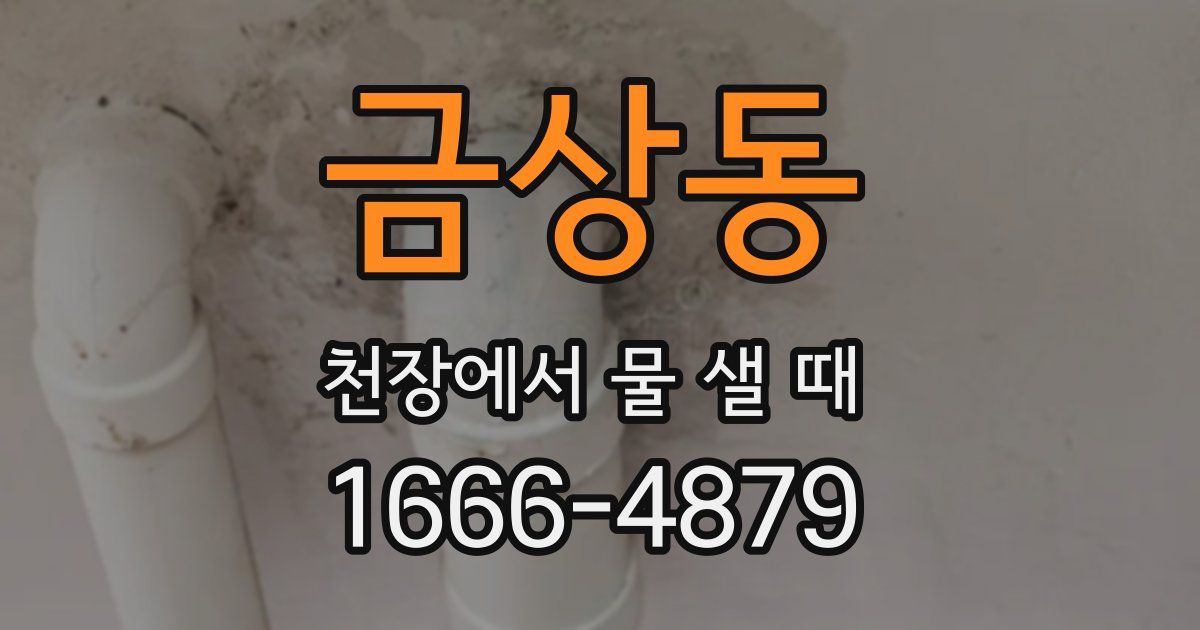금상동 천장에서 물 샐 때