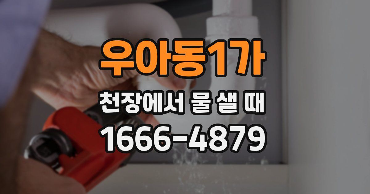 우아동1가 천장에서 물 샐 때