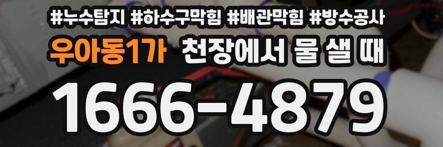 우아동1가 천장에서 물 샐 때
