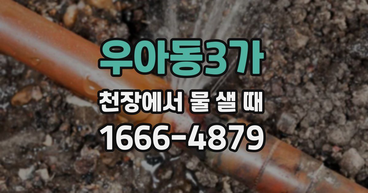 우아동3가 천장에서 물 샐 때