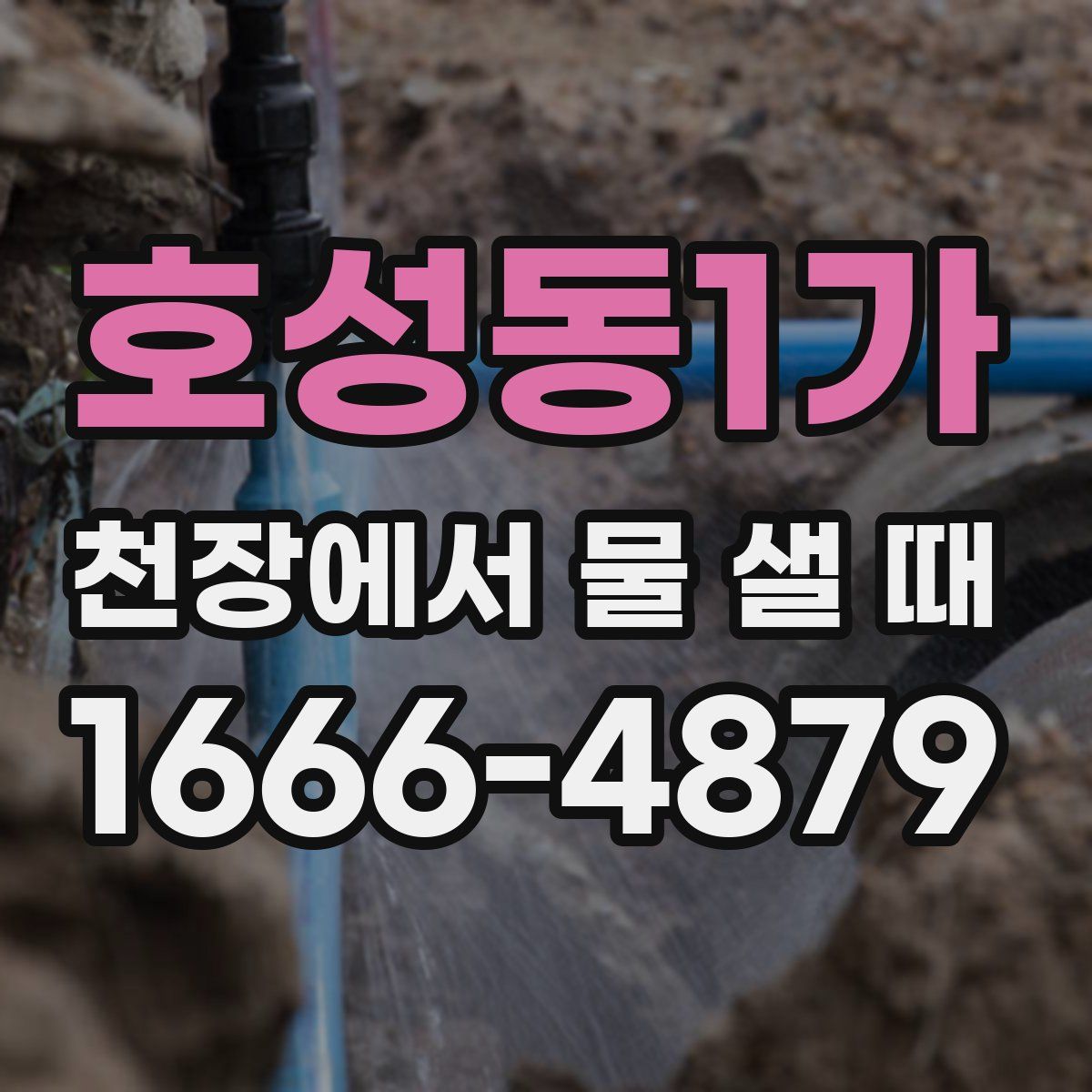 호성동1가 천장에서 물 샐 때