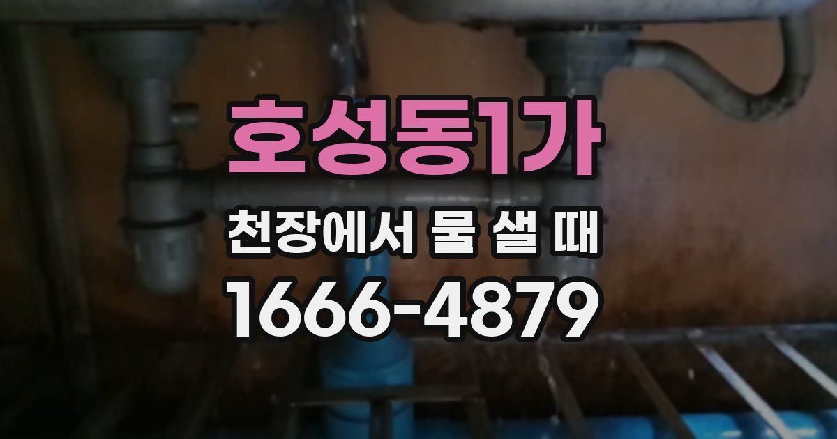 호성동1가 천장에서 물 샐 때