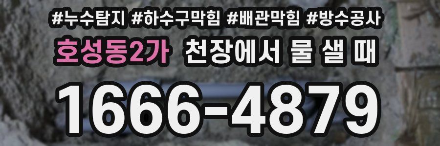 호성동2가 천장에서 물 샐 때