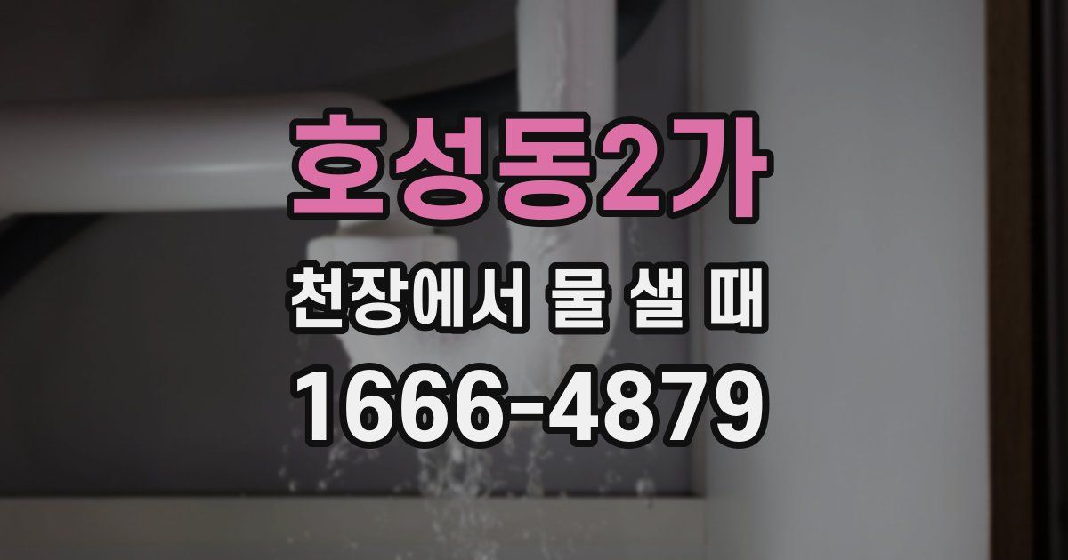 호성동2가 천장에서 물 샐 때