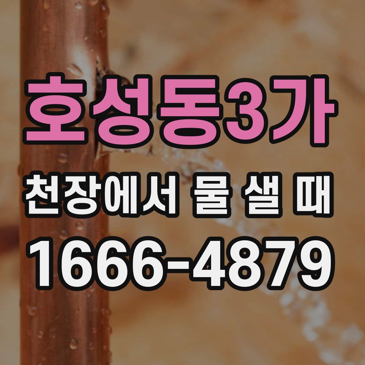 호성동3가 천장에서 물 샐 때