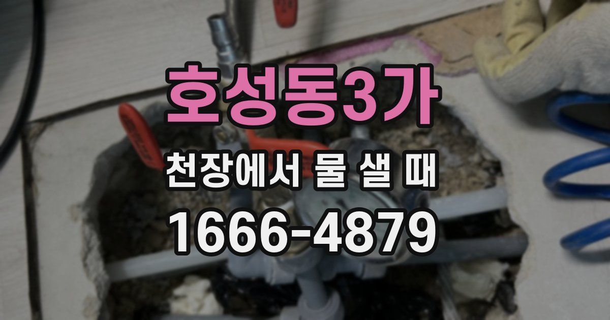 호성동3가 천장에서 물 샐 때