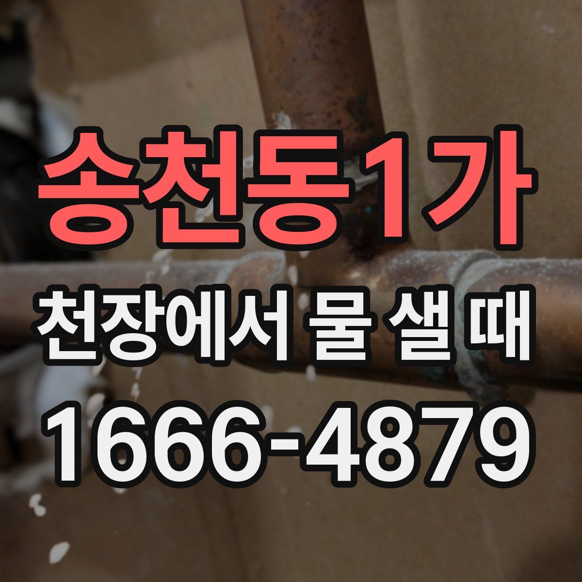 송천동1가 천장에서 물 샐 때