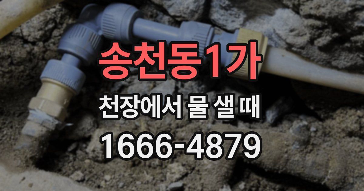 송천동1가 천장에서 물 샐 때