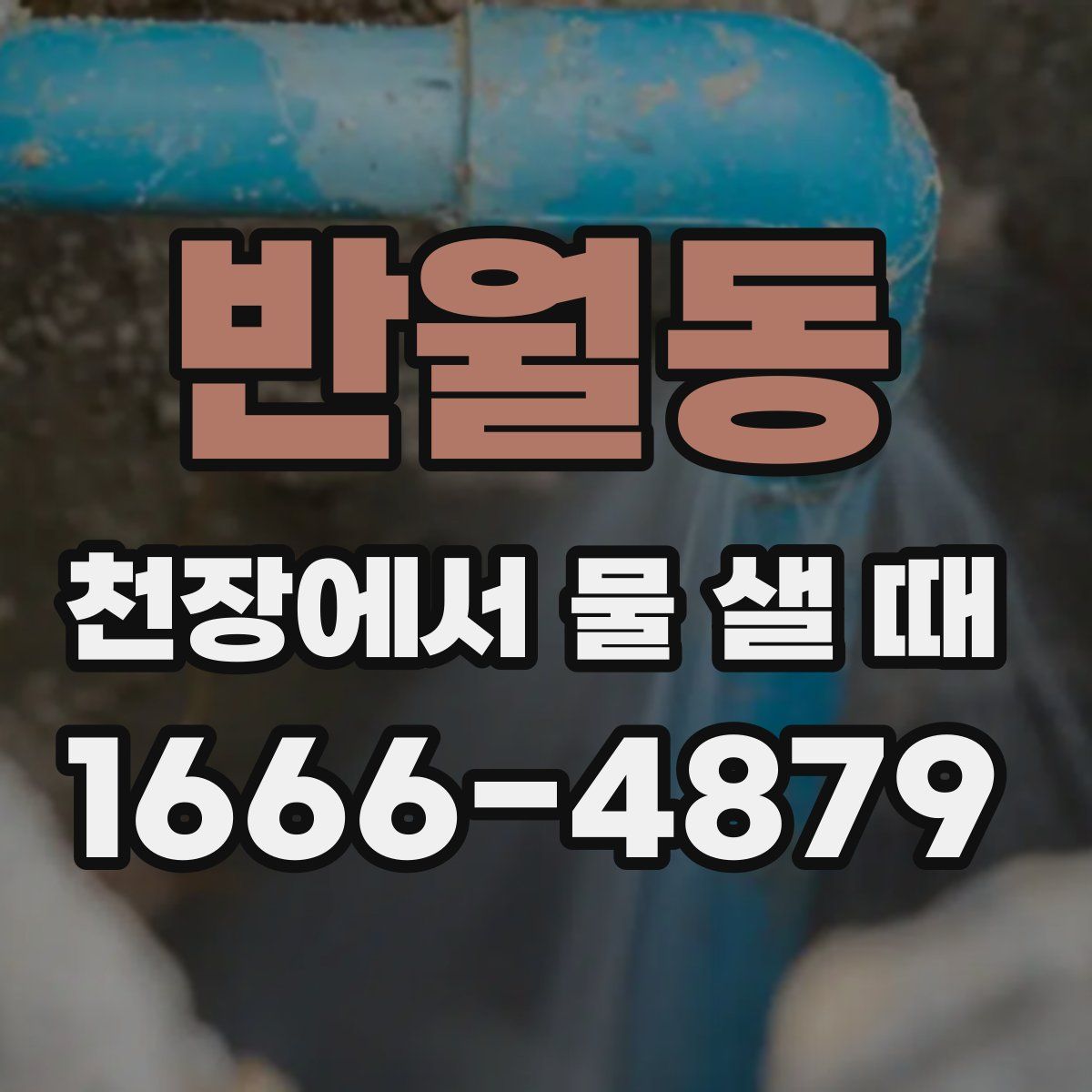 반월동 천장에서 물 샐 때