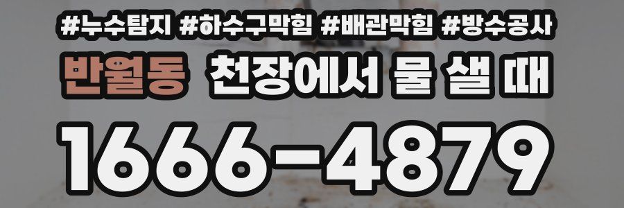 반월동 천장에서 물 샐 때