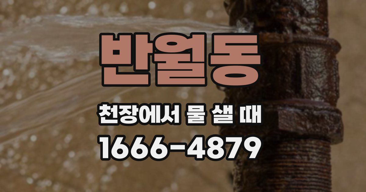 반월동 천장에서 물 샐 때
