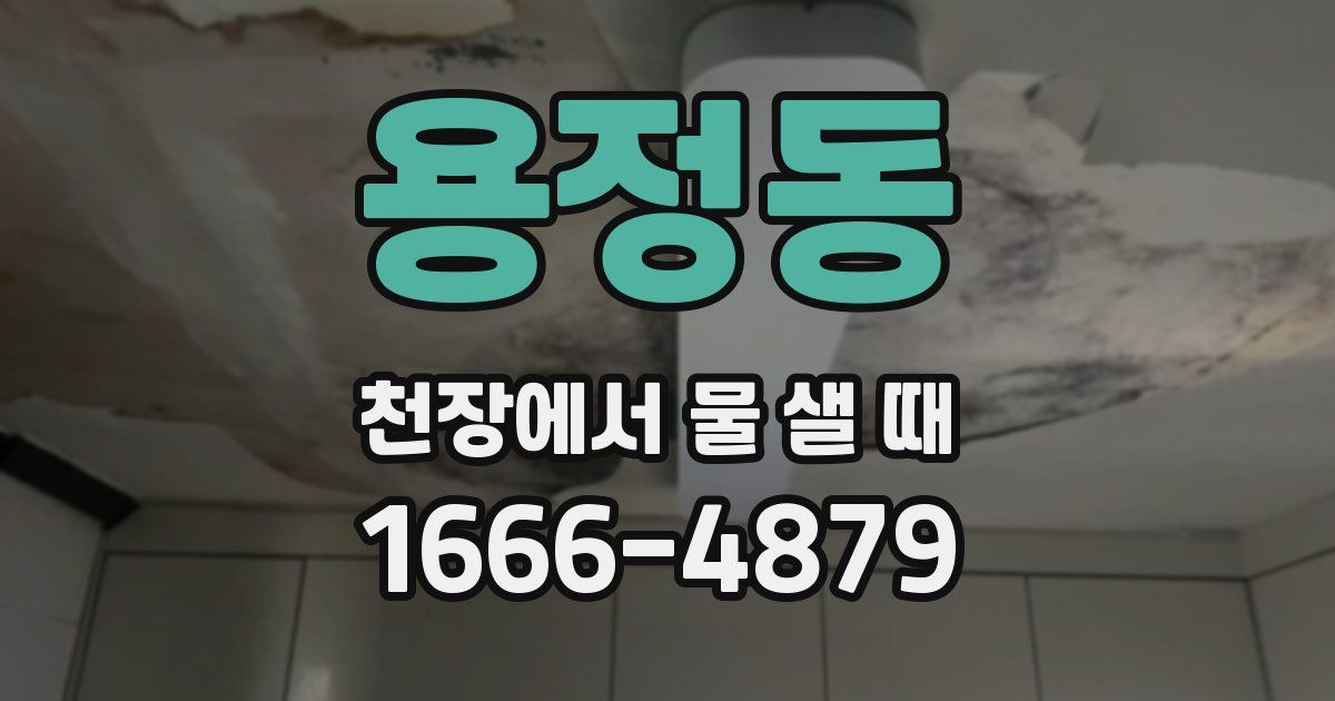 용정동 천장에서 물 샐 때